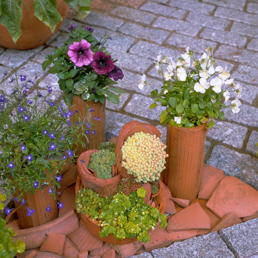 <p>                     Create the quickest-ever rock garden simply by nestling broken terracotta pots into a gravelled border, and plant low-maintenance succulents inside.                   </p>