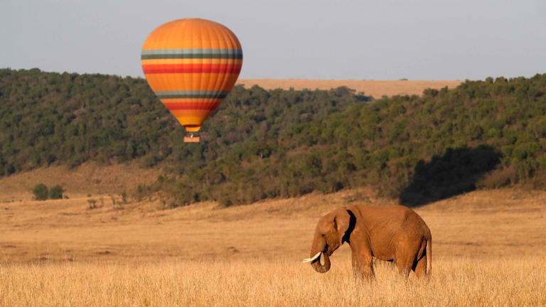 For Indians on the Great Masai Mara Safari, 150% hike in fees is no worry