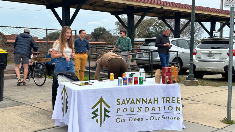 Trolley tour in Savannah shares facts and myths about trees in the Hostess city