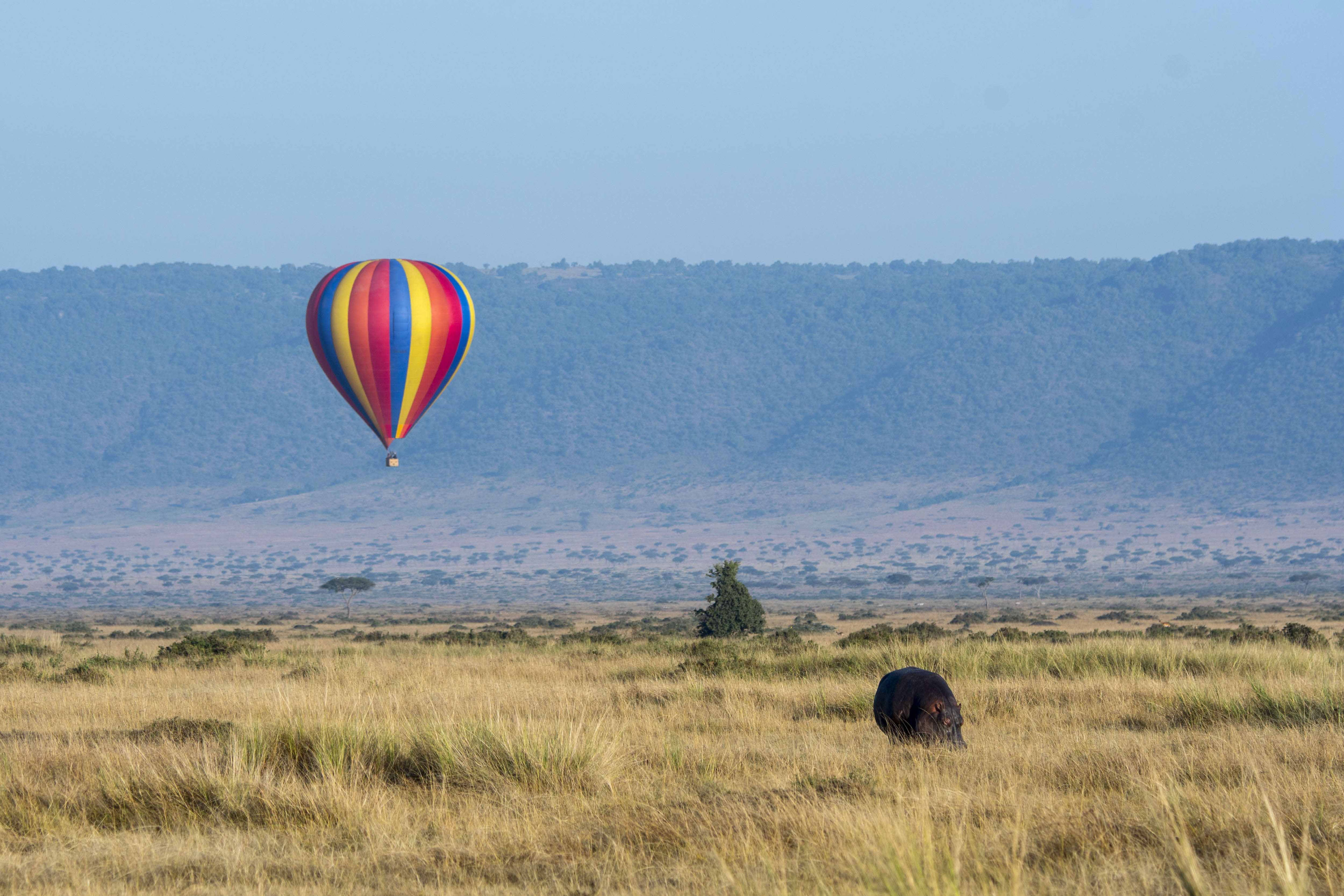 for indians on the great masai mara safari, 150% hike in fees is no worry