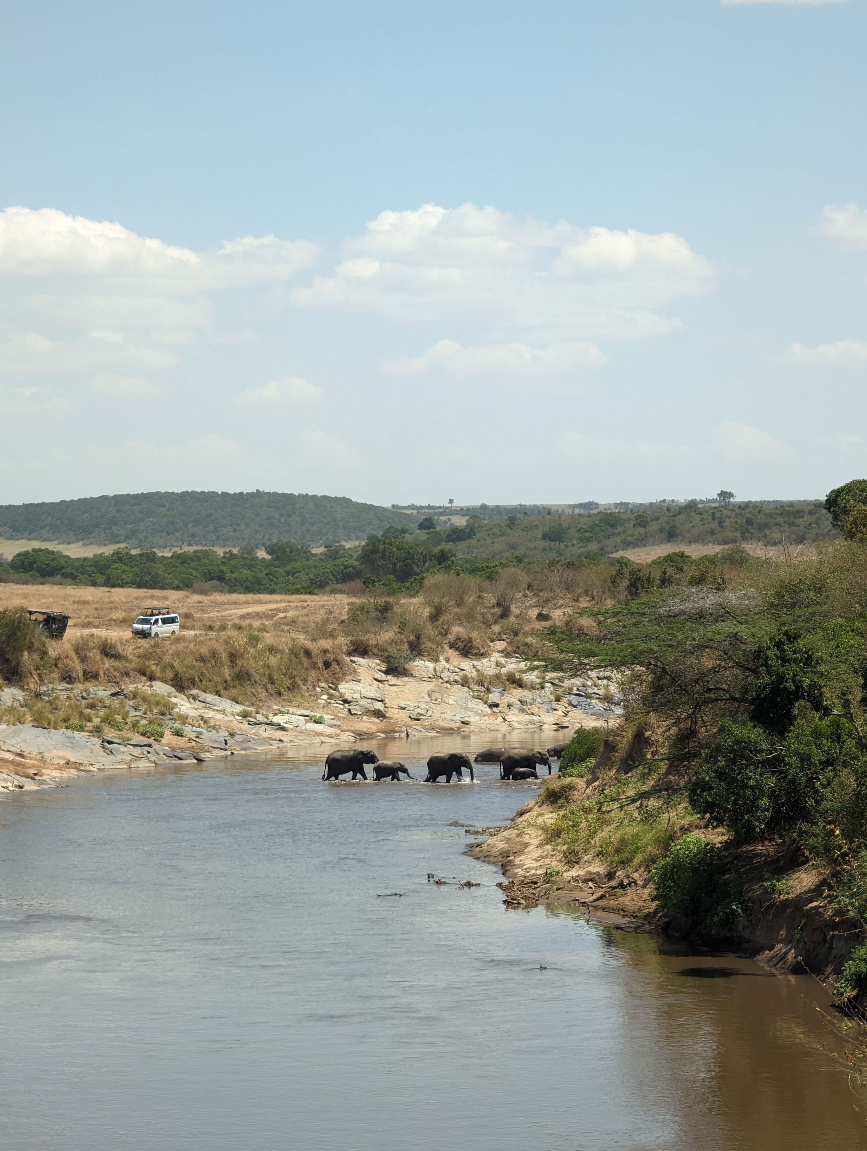 for indians on the great masai mara safari, 150% hike in fees is no worry