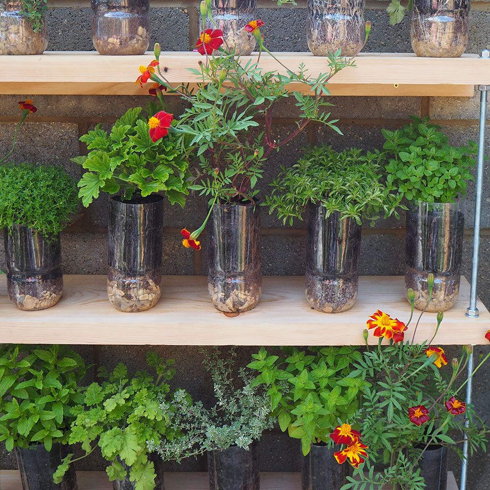 <p>                     This display appeared at no less prestigious an event as the Chelsea Flower Show. So if it's good enough for the great and good of gardening, it's good enough for you!                   </p>                                      <p>                     To recreate it, take your plastic bottles, cut off the tops and pierce a few small holes at the bottom. Add gravel for extra drainage, before plant up in compost. The look is surprisingly effective.                   </p>