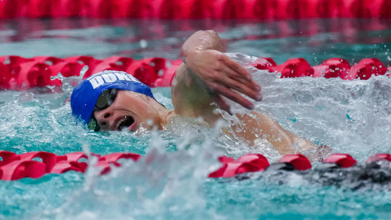 100th Wiaa Boys Swim And Dive Meet Concludes With Historic Area Finishes