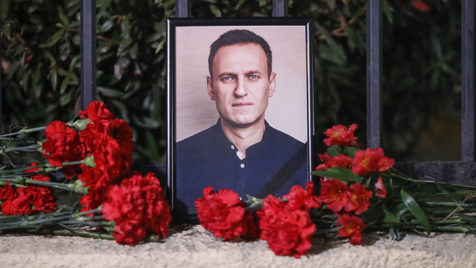 woordvoerder navalny bevestigt zijn dood: aleksej is vermoord