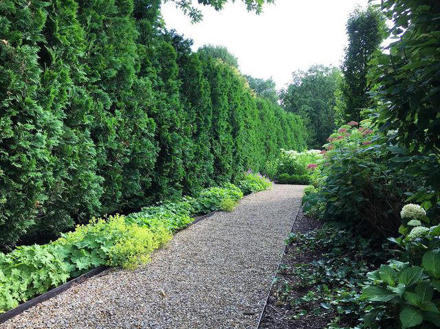 14 Cheap DIY Garden Path Ideas for a Pretty, Budget-Friendly Walkway