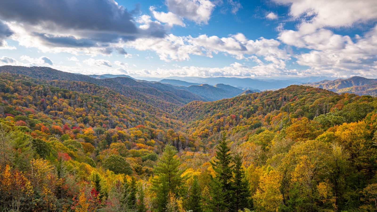 <p>This southeastern national park on the ridgeline of the Great Smoky Mountains contains some 16 peaks over 1,800 meters tall and a rich biodiversity of animal and plant species. <a href="https://www.visittheusa.co.uk/experience/insiders-guide-great-smoky-mountains">Visit the USA</a> notes that the “mountains and lush forest” have “more than 211,000 hectares of nature explorable by car, foot and bicycle.”</p>