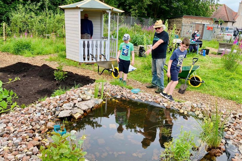 midlothian volunteers transform barren wasteland into community garden sanctuary