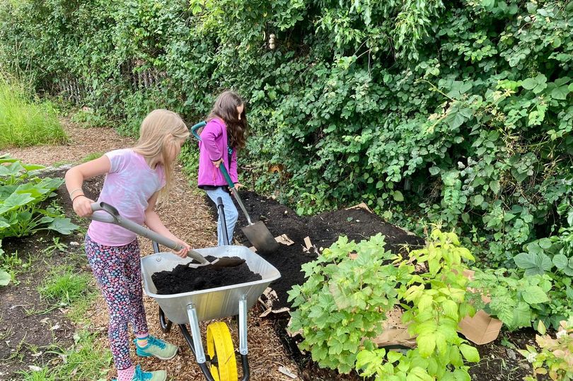 midlothian volunteers transform barren wasteland into community garden sanctuary