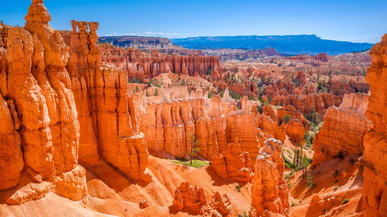 <p>Bryce Canyon National Park is known worldwide for its hoodoos, tall, thin spires of rock formed over centuries of erosion. Driving throughout the Bryce Canyon Scenic Drive offers visitors breathtaking views of the red, orange, and white maze-like hoodoos.</p>
