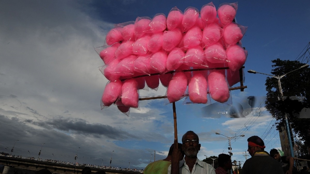 tamil nadu bans sale of cotton candy due to presence of 'cancer causing' chemical