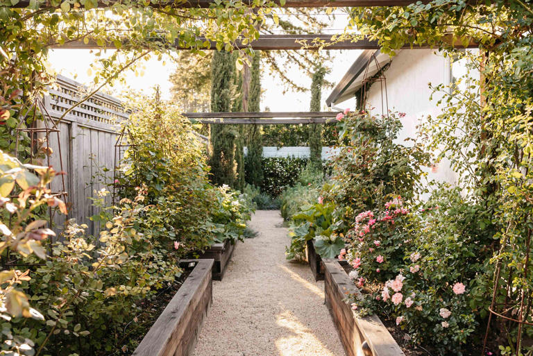 14 Cheap Diy Garden Path Ideas For A Pretty, Budget-friendly Walkway