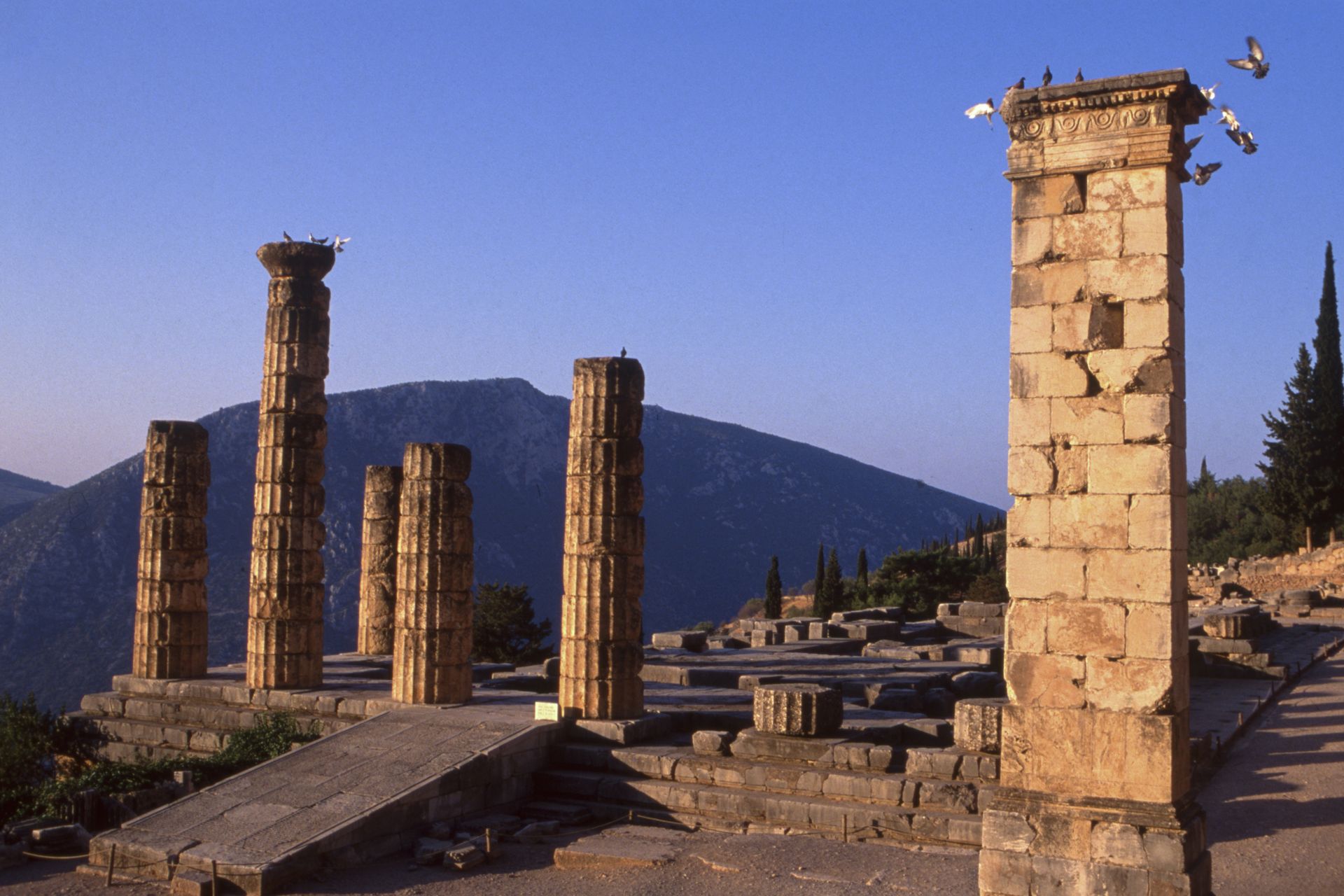 <p>Delphi is known for its oracle, who allegedly predicted the future. Located under the slopes of Mount Parnassus, the archaeological site is one of the most striking in the country, with the Temple of Apollo where the Pythia delivered her oracles, the theater, and the stadium.</p>