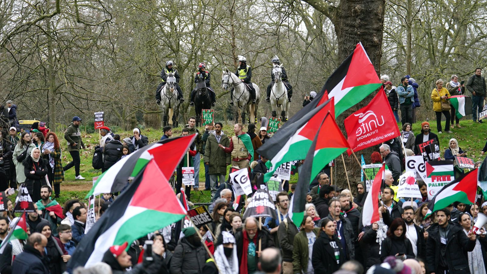 eleven people arrested at pro-palestine demonstration in london