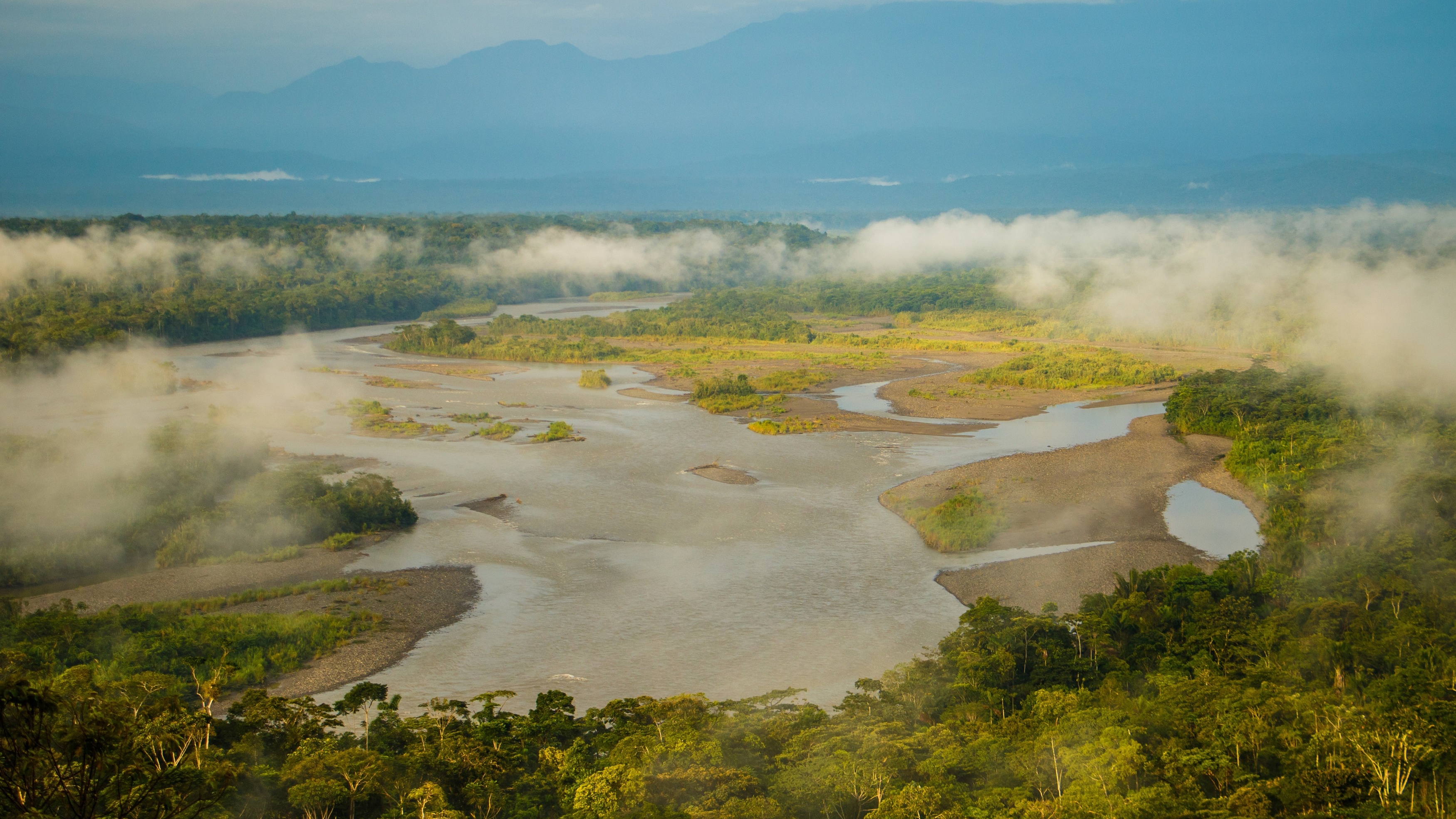 a floresta amazônica está realmente se aproximando de uma situação crítica? cientistas respondem