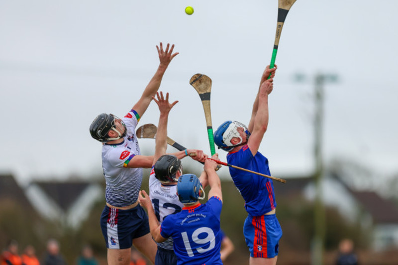 mary i crowned fitzgibbon cup champions for first time since 2017