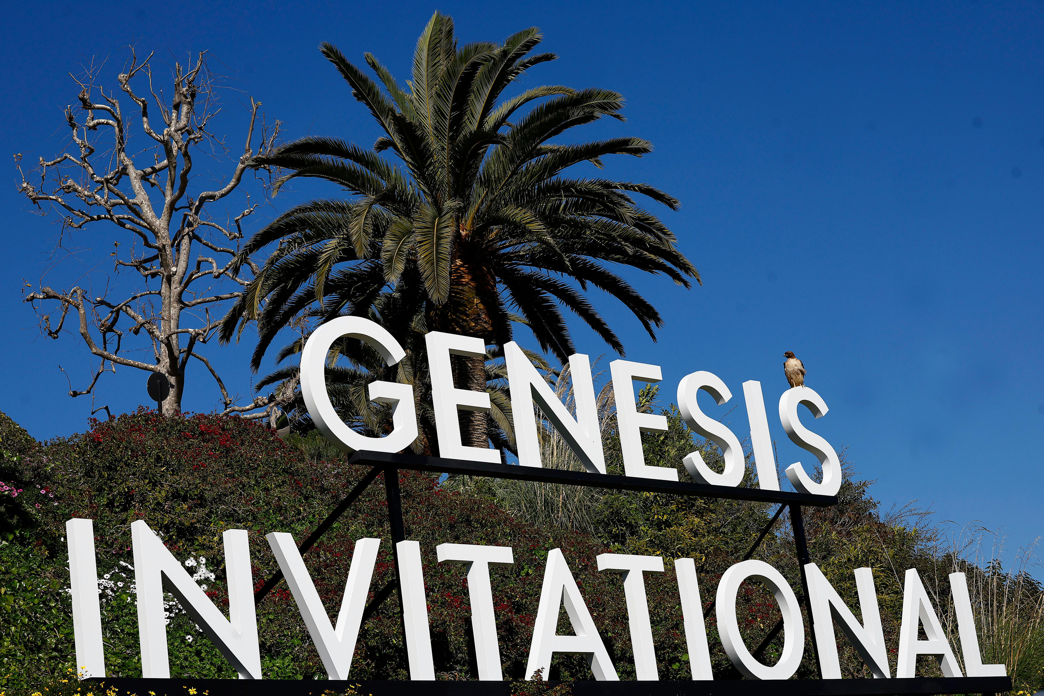 how to, 2024 genesis invitational sunday tee times, how to watch pga tour at riviera country club