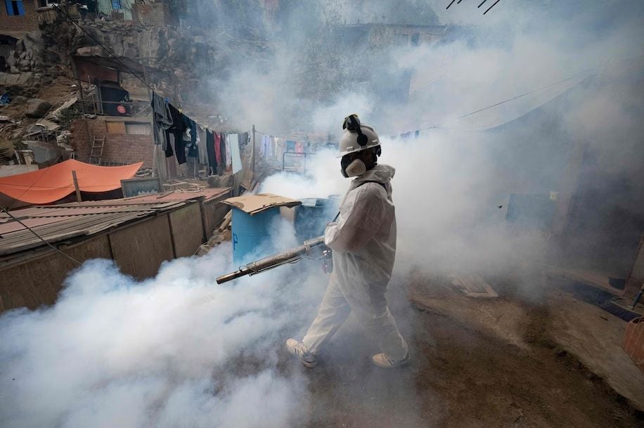 casos de dengue ya superan a todos los de 2023: ¿en qué consiste esta mortal enfermedad?