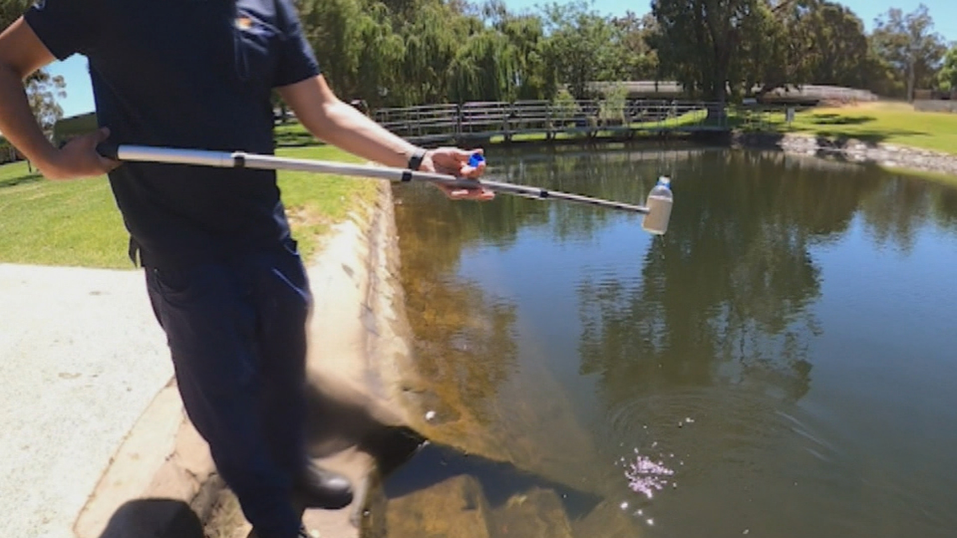 wa residents warned after discovery of deadly parasite in swim spot