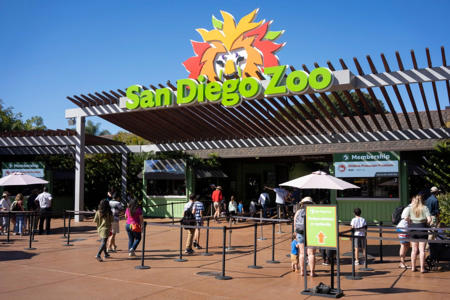 San Diego Zoo named ‘most Instagrammable’ in US<br><br>