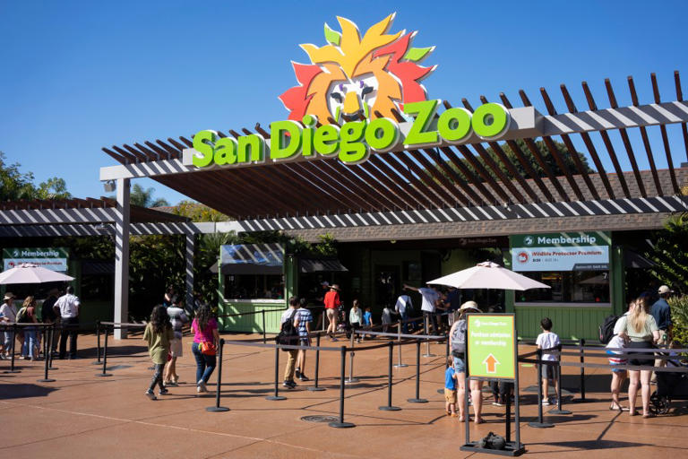 San Diego Zoo named ‘most Instagrammable’ in US