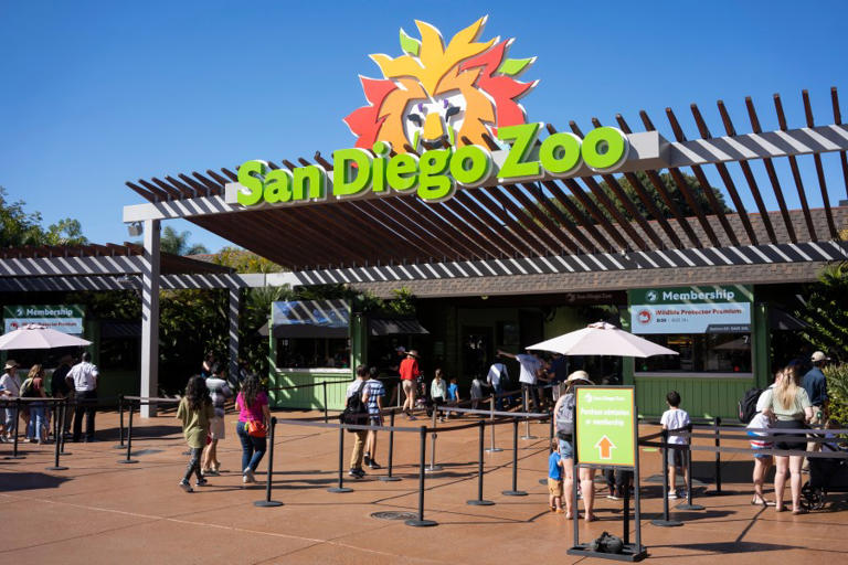 Kids can attend San Diego Zoo, Safari Park Halloween events for free in October