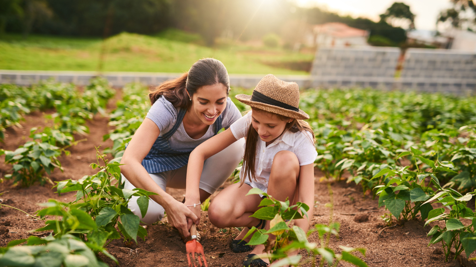 image credit: PeopleImages.com Yuri A/Shutterstock <p><span>Starting a small vegetable garden can yield big savings on your grocery bill. Even a few pots of herbs or tomatoes can make a difference. Gardening is not only economical but also therapeutic and rewarding. Plus, you can’t beat the taste of home-grown produce.</span></p>