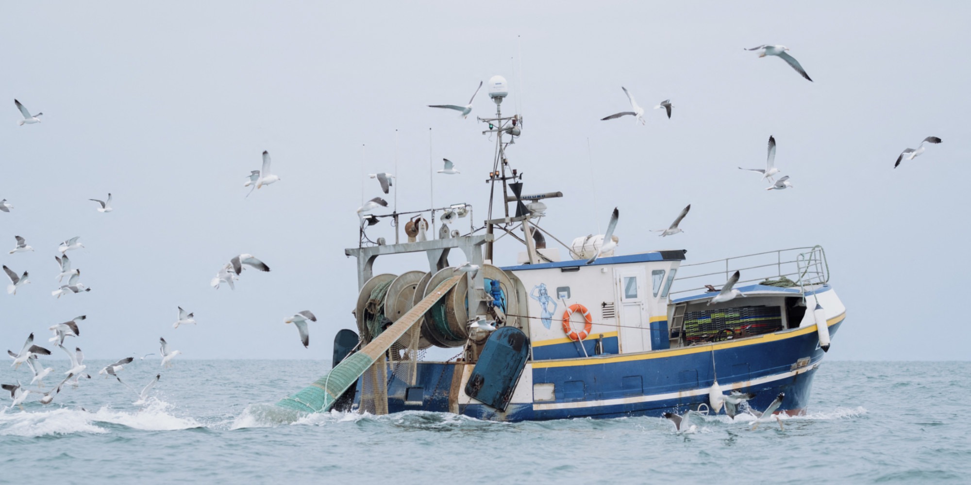 fin de l'interdiction de pêche dans le golfe de gascogne, les pêcheurs à la turballe attendent la reprise avec lassitude