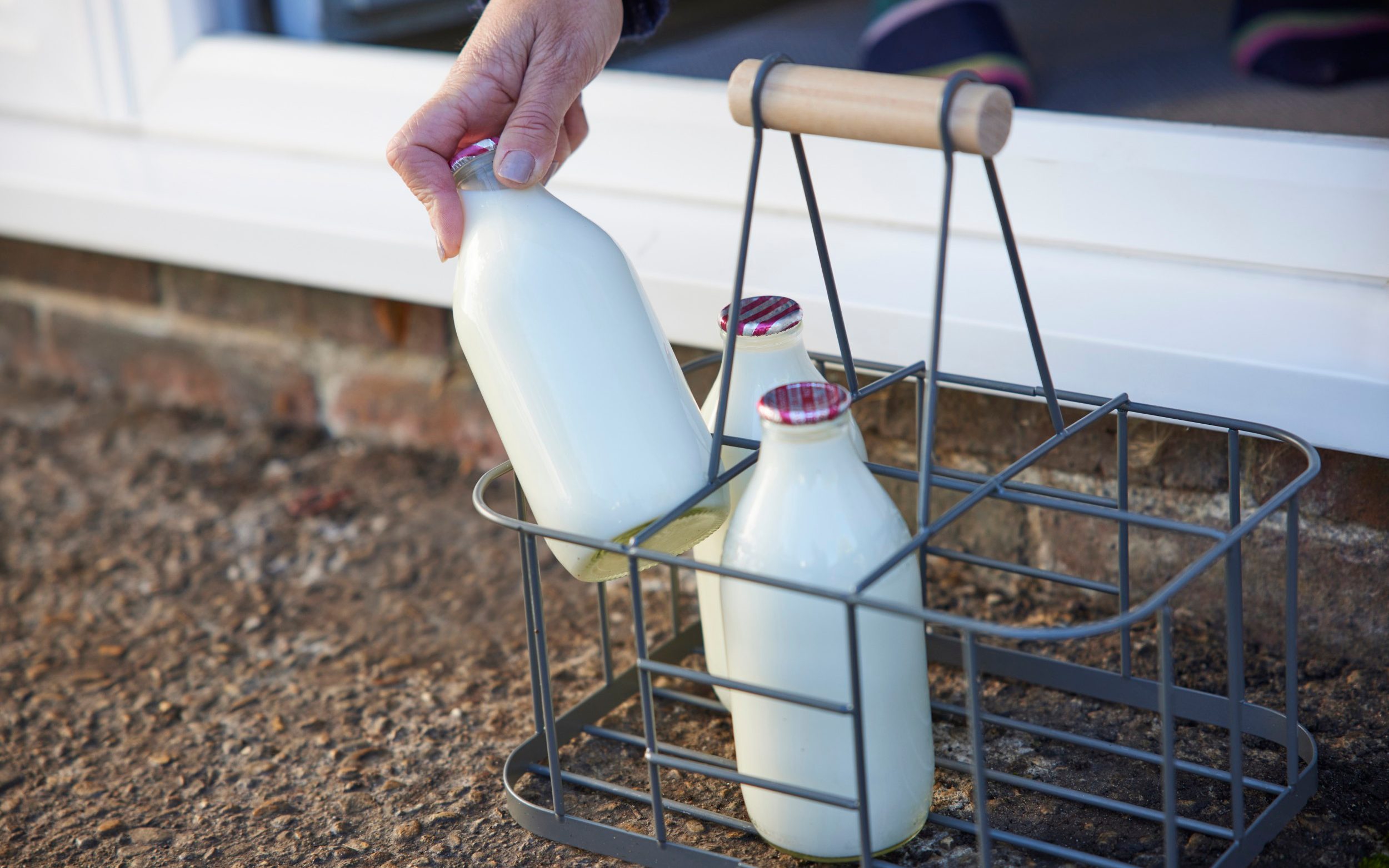 why full-fat milk and dairy was better for us all along
