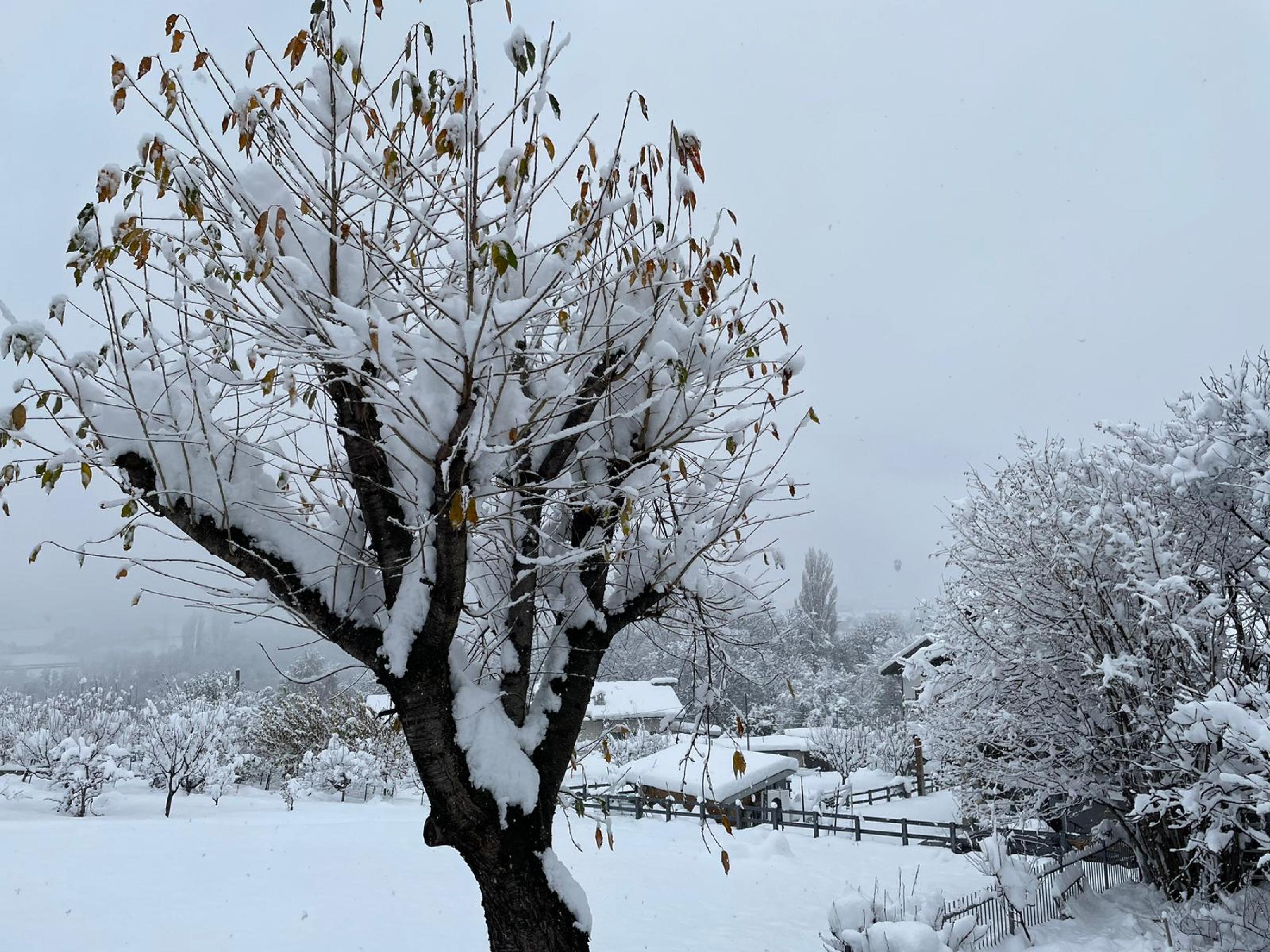 perturbazioni su alpi, nuova neve in arrivo in valle d'aosta