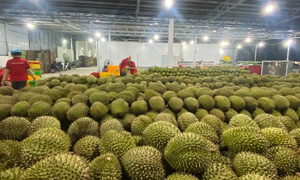 coffee, rice, and durian prices skyrocket