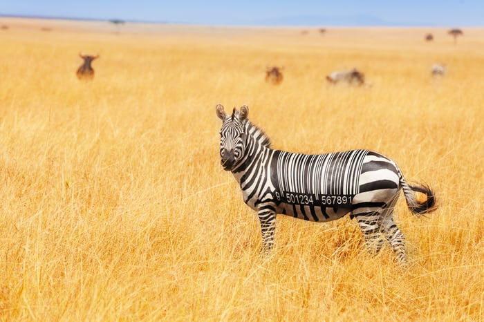 barcode veteran zebra technologies is earning its ai stripes