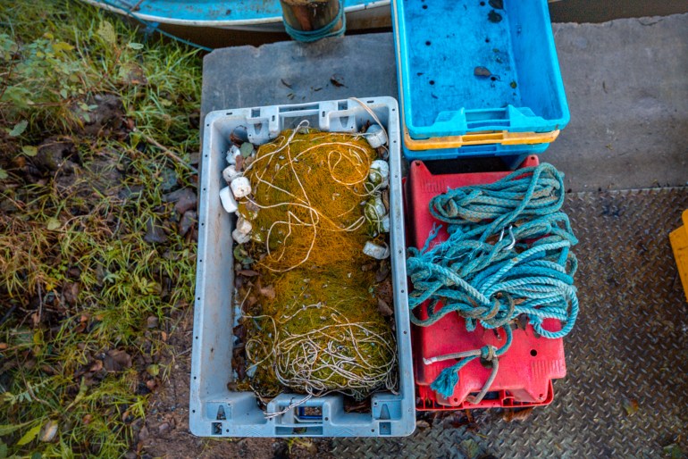 disappearing eels and the fight for a centuries-old livelihood