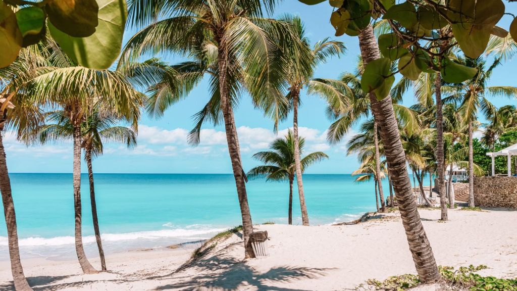 <p>You can do as little or as much as you like at Varadero Beach in Cuba. Sit back, unwind on the powdery white sand, or try watersports. There are also places to pick up a cocktail made from Cuban rum, plus a beach volleyball net here. </p><p class="has-text-align-center has-medium-font-size">Read also: <a href="https://worldwildschooling.com/hidden-beaches-in-europe/">Hidden Beaches in Europe</a></p>