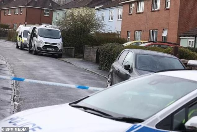 woman is arrested on suspicion of murder after three children are found dead at bristol home