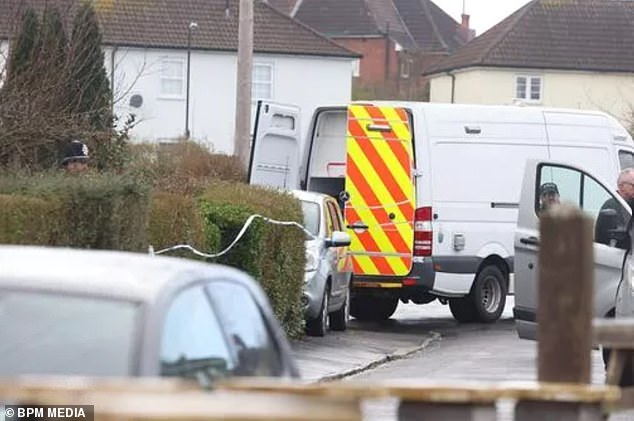 woman is arrested on suspicion of murder after three children are found dead at bristol home