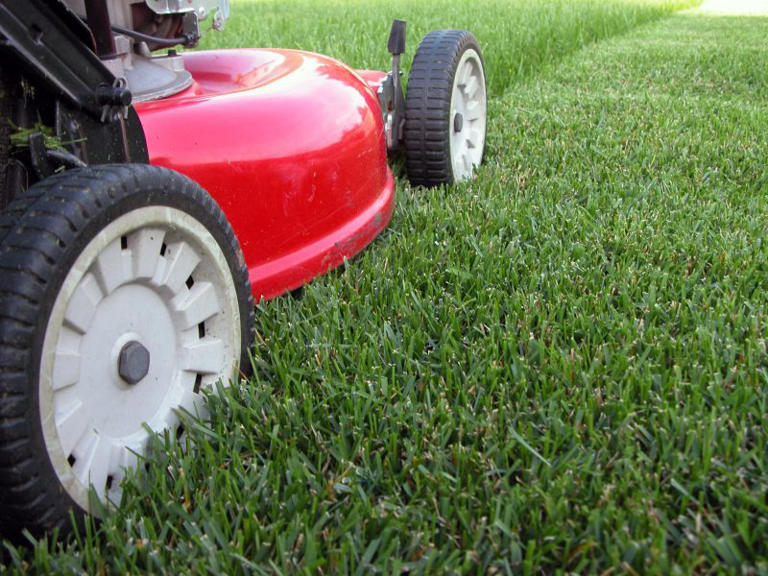 Colorado bans use of gas-powered lawn equipment by state agencies starting 2025