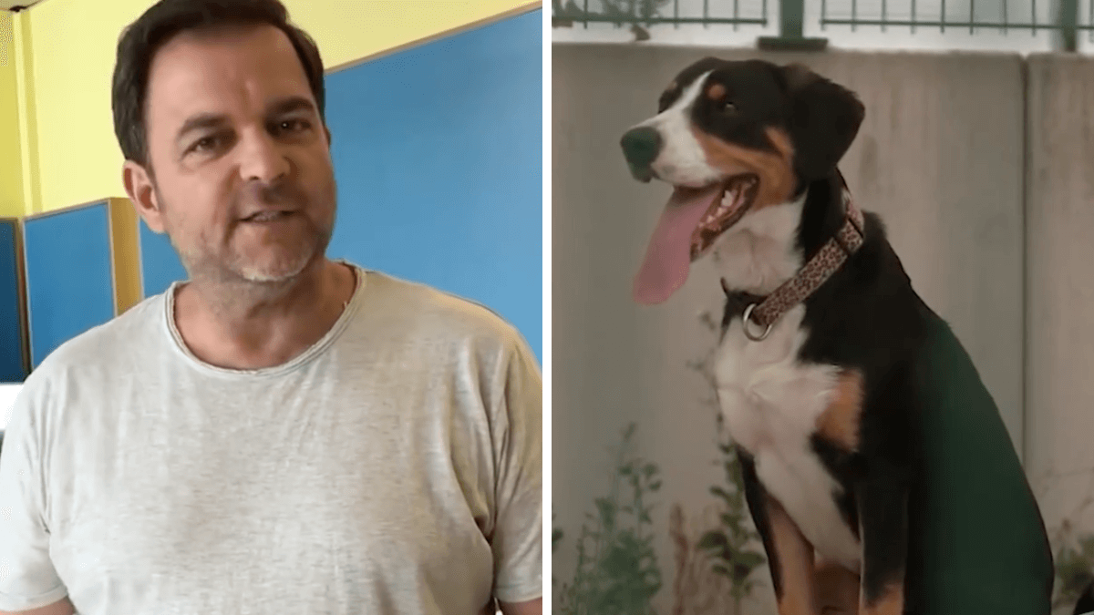 Martin Rütter über Hund Kalle entsetzt „Totale Katastrophe!“ (Video)