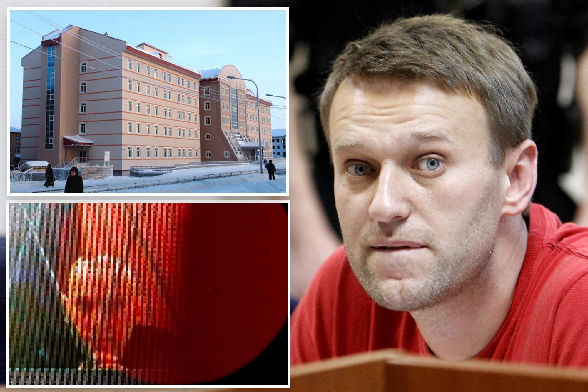 Alexei Navalny’s Body Was Bruised On His Head And Chest, Paramedic Says ...