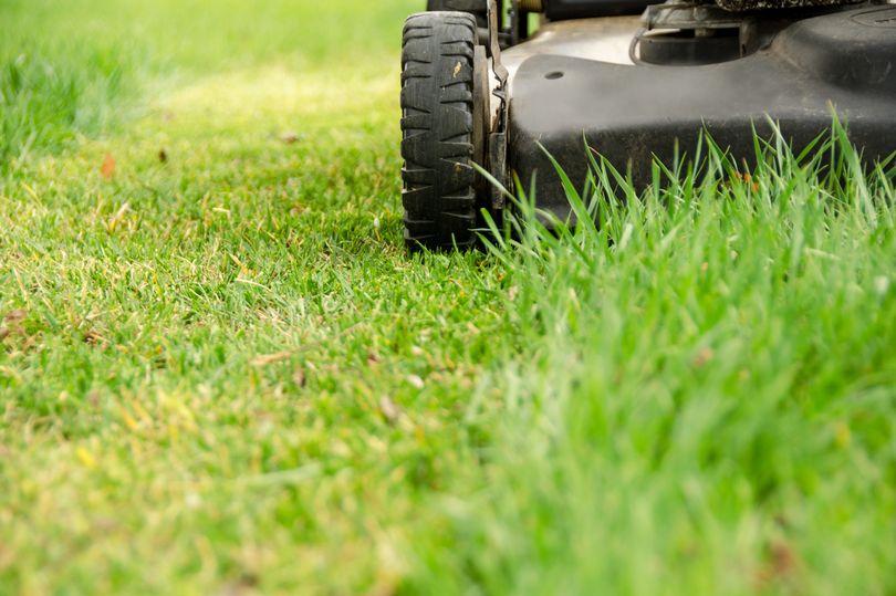 gardening experts share exact date you should cut your grass after winter