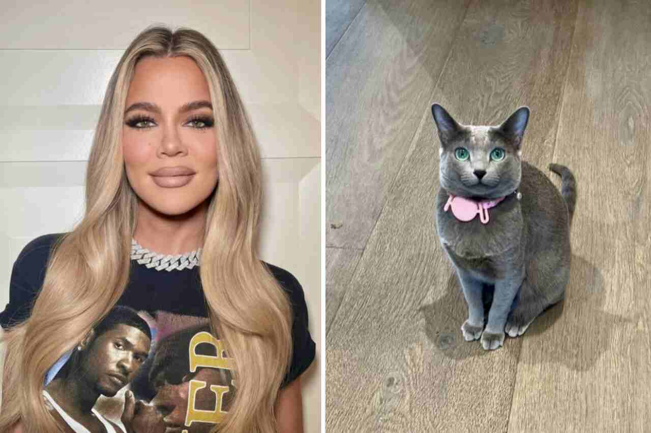 khloé kardashian wordt beschuldigd van het gebruik van photoshop op het gezicht van haar kat