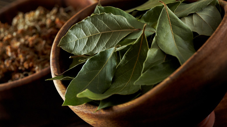 The Great Bay Leaf Debate: Are They Culinary Wonders Or Pseudoscience?