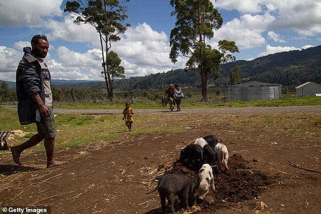 At least 26 people are killed in massacre between warring tribes in ...