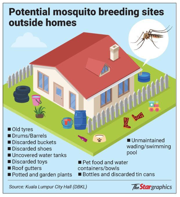 Dengue cases soar by over 70% in KL