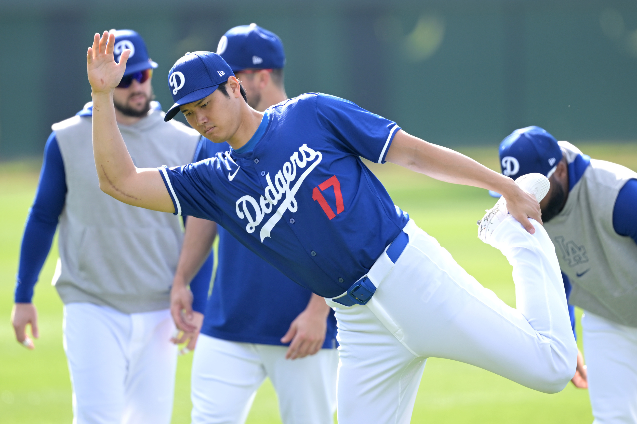 Dodgers Spring Training: Dave Roberts Praises Shohei Ohtani For ...