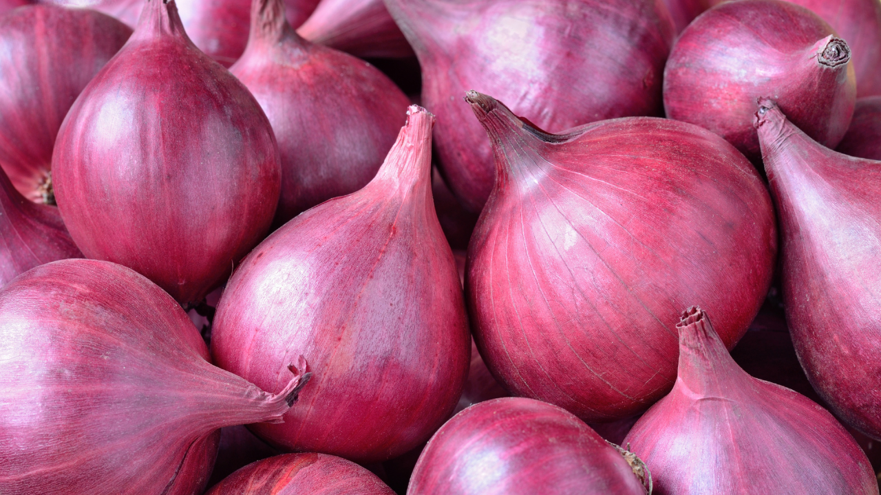 onion export ban: indian government gives green light for onion shipments to these countries