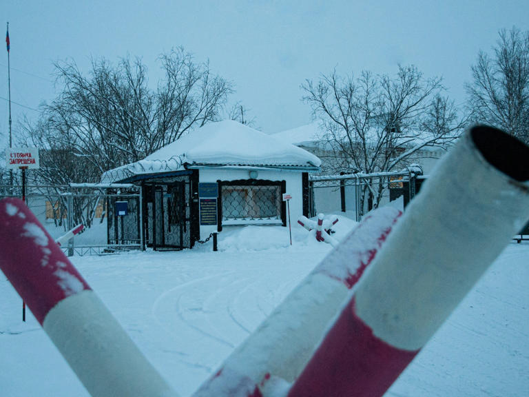 Inside The Deadly Russian Arctic Prison Where Alexey Navalny Spent His Last Days 1082