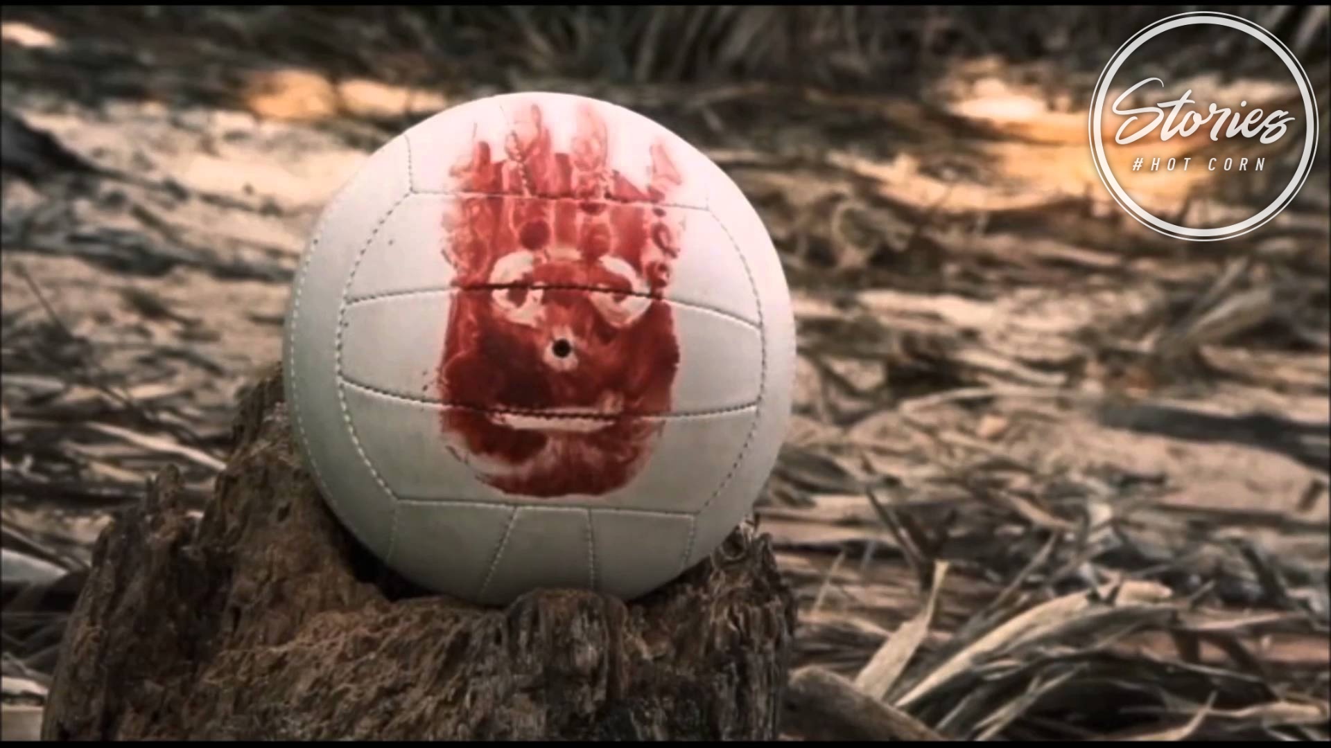 Cast Away | Tom Hanks, l’amico Wilson e la forza degli uomini comuni