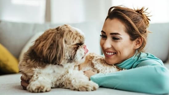 National Love Your Pet Day 2024 5 ways to say 'I love you' to your pet