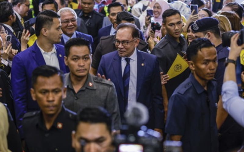 anwar rubbishes talk that ‘madani white rice’ will support cartels