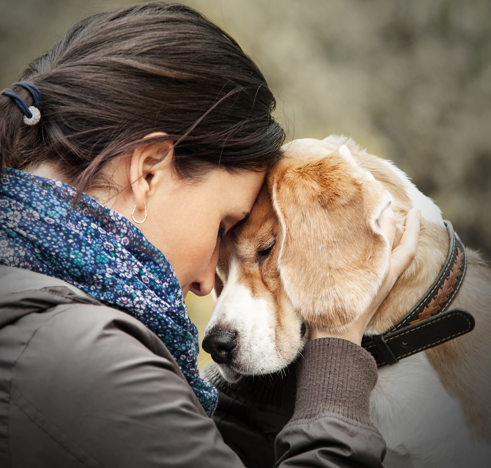 How these dog breeds can help you cope with depression